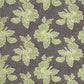 Premium Spanish Cotton-100% Pure Cotton